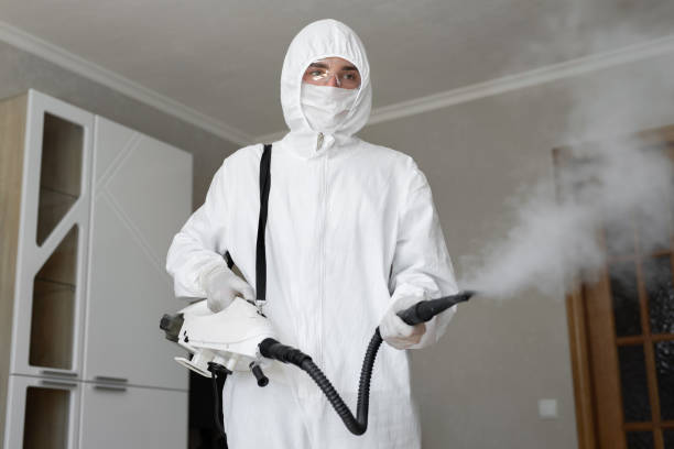 Hartford City, IN Mold Removal Company